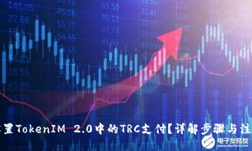 标题
如何设置TokenIM 2.0中的TRC支付？详解步骤与注意事项