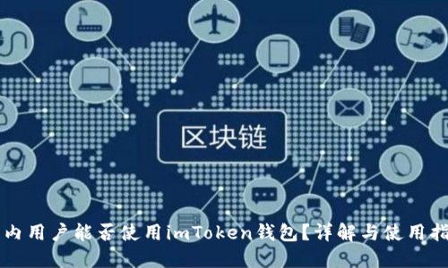 国内用户能否使用imToken钱包？详解与使用指南