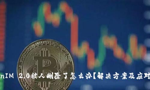 TokenIM 2.0被人删除了怎么办？解决方案及应对策略