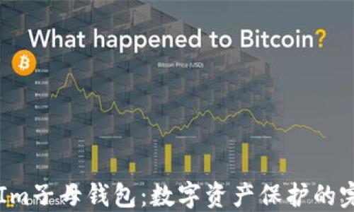 
Token Im子母钱包：数字资产保护的完美选择