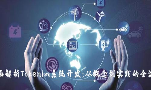 全面解析Tokenim系统开发：从概念到实践的全流程
