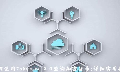 
如何使用Tokenim 2.0查询加密货币：详细实用指南