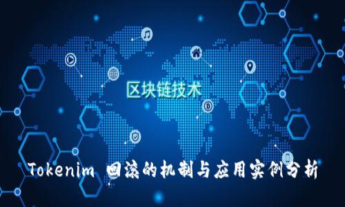 Tokenim 回滚的机制与应用实例分析