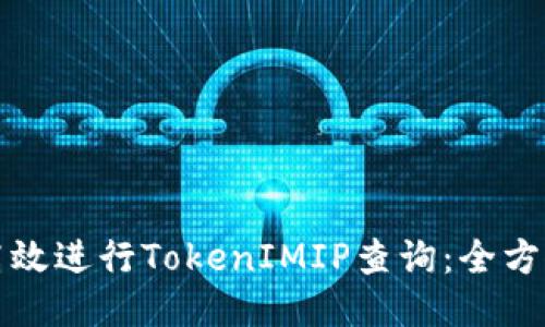 如何高效进行TokenIMIP查询：全方位指南