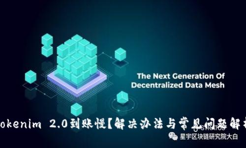 Tokenim 2.0到账慢？解决办法与常见问题解析