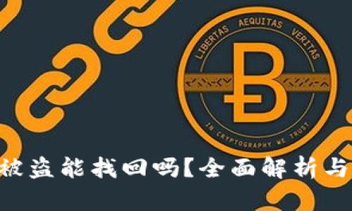 Tokenim被盗能找回吗？全面解析与应对措施