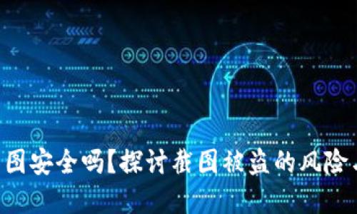 Tokenim截图安全吗？探讨截图被盗的风险与防范措施