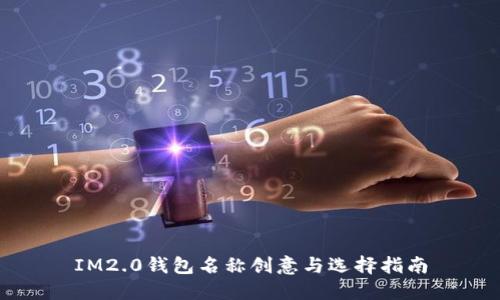 IM2.0钱包名称创意与选择指南