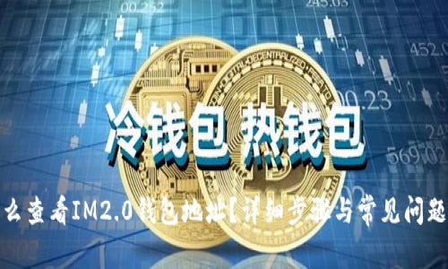 : 怎么查看IM2.0钱包地址？详细步骤与常见问题解析