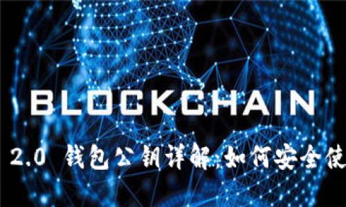 Tokenim 2.0 钱包公钥详解：如何安全使用和管理