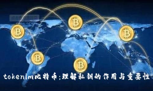 tokenim比特币：理解私钥的作用与重要性