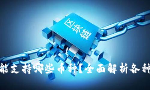 Tokenim能支持哪些币种？全面解析各种加密货币