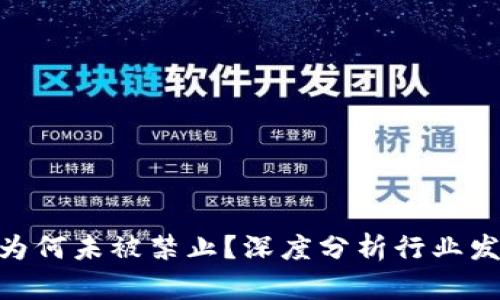Tokenim 2.0为何未被禁止？深度分析行业发展与政策动向